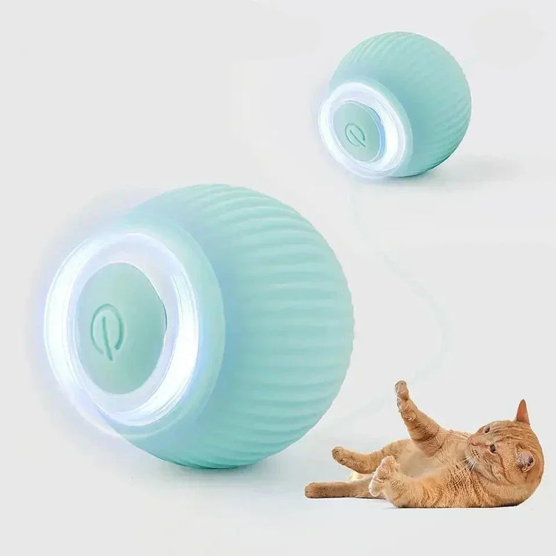 Bolinha Inteligente para Gatos